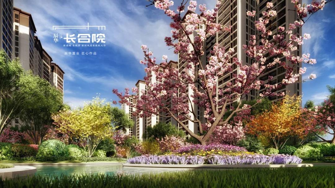 效果图 