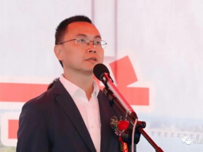 62.5亿元！桃源县这四个重点建设项目集中开工