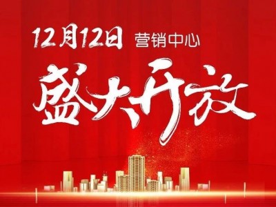 【桃誠1号】12月12日营销中心盛大开放，惊艳桃源！